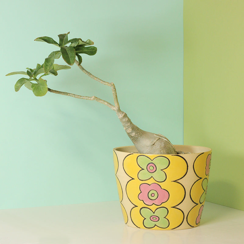 Made-to-Order Stoneware Planter with Scalloped Flower Pattern
