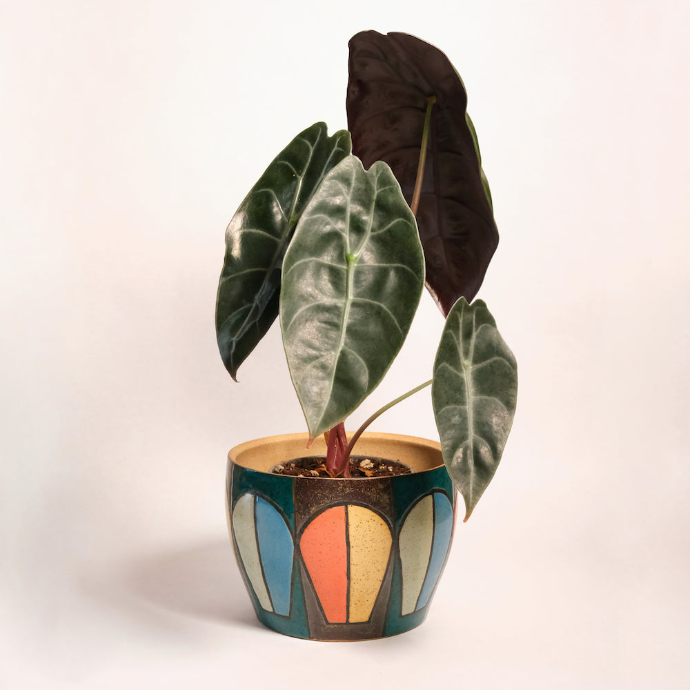 Glazed Stoneware Planter with Mid Century Pattern