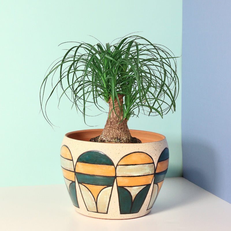 Made-to-Order Planter with Mid Century Pattern