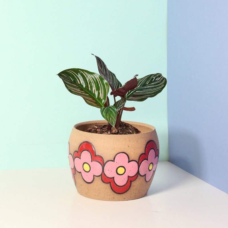 Made-to-Order Stoneware Planter with Four Petal Flower Pattern