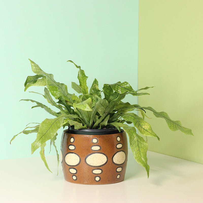 Made-to-Order Stoneware Planter with Oval Pattern