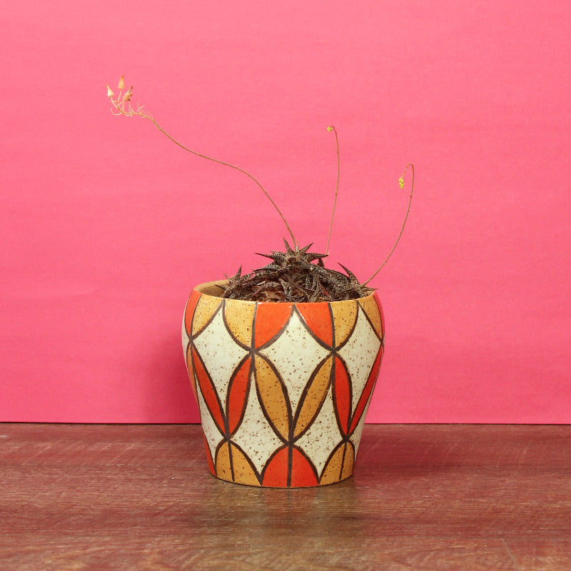 Made-to-Order Pot with Stardust Pattern