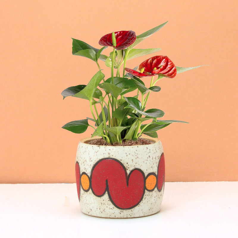 Made-to-Order Planter with Blobby 'S' Pattern