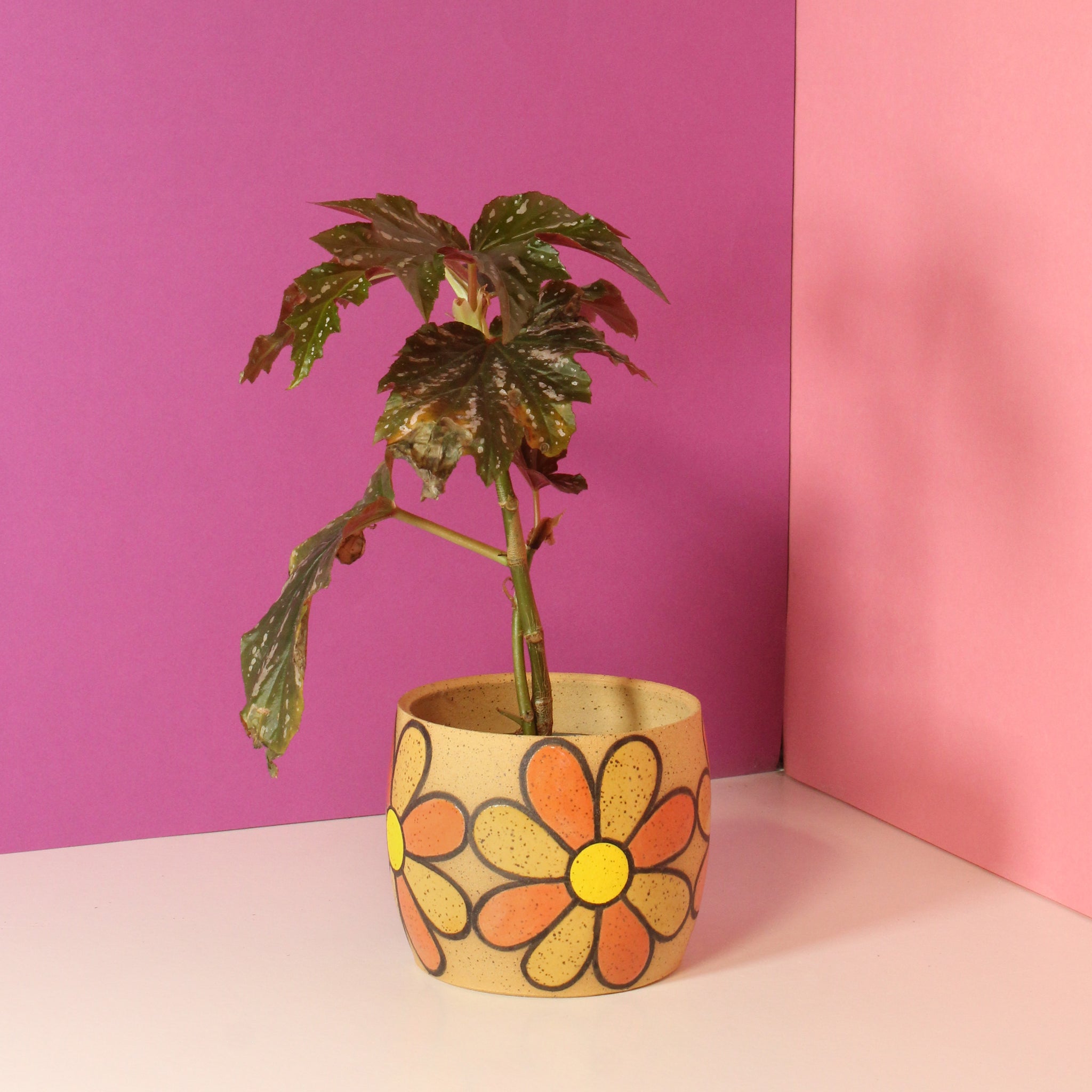 Glazed Stoneware Pot with Radiating Flower Pattern