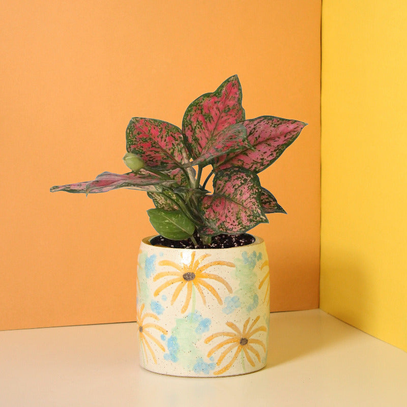 Glazed Stoneware Pot with Pastel Flowers